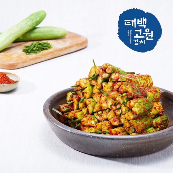 태백고원 태서식품 오이소박이5kg